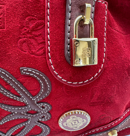 Loewe Amazona 160 anniversary handbag