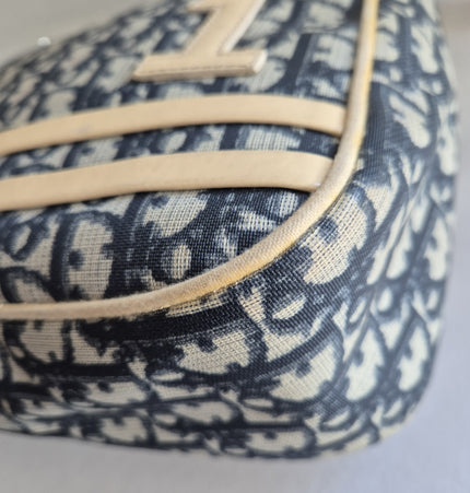 Dior trotter crossbody bag