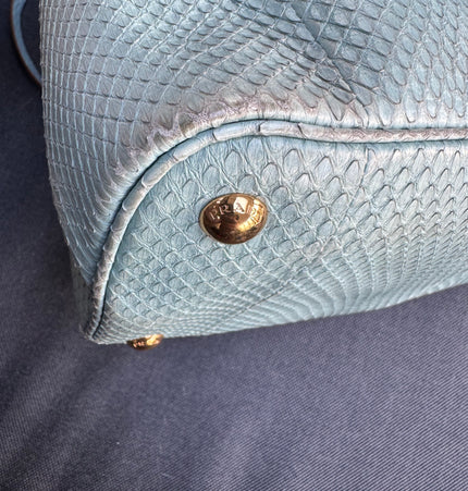 Prada limited edition double bag