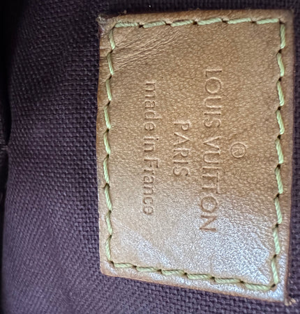 Louis monogram handbag