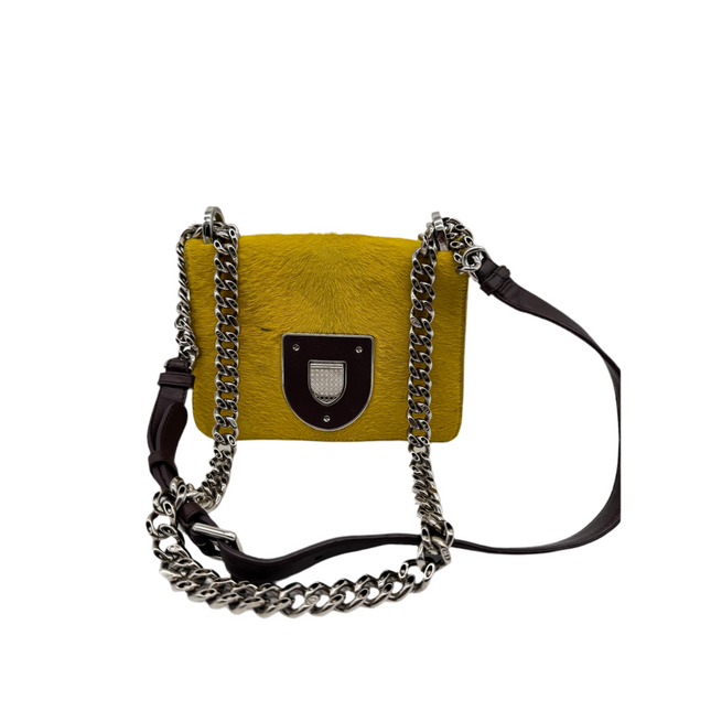 Dior diorama crossbody bag