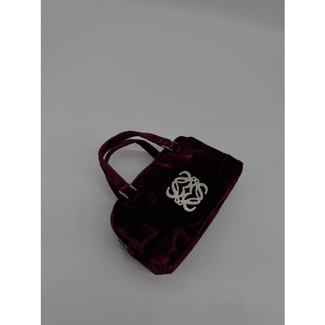 Loewe crystal handbag