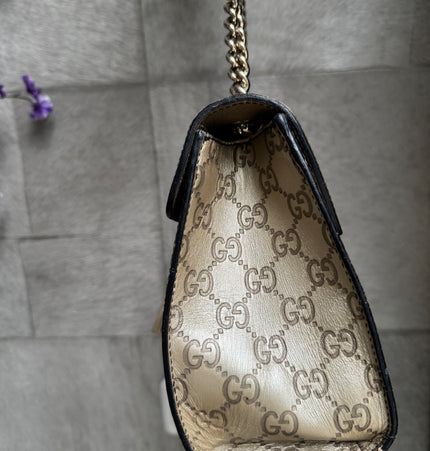 Gucci emily bag