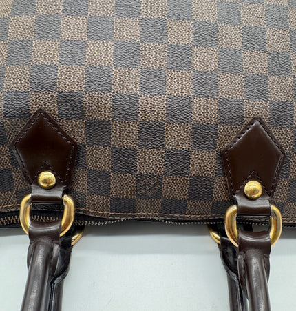 Louis Vuitton Saleya handbag