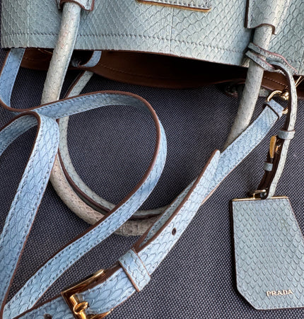 Prada limited edition double bag