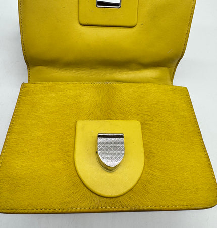 Dior diorama crossbody bag