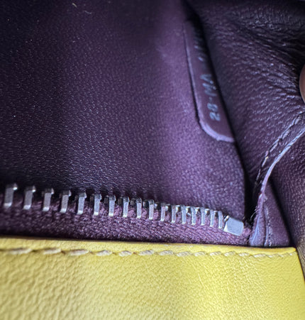 Dior diorama crossbody bag