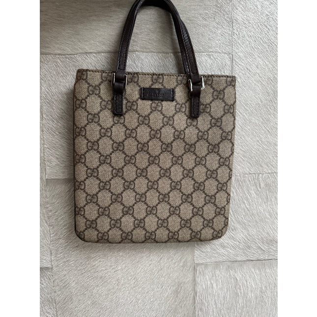 Gucci mini handbag