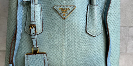 Prada limited edition double bag
