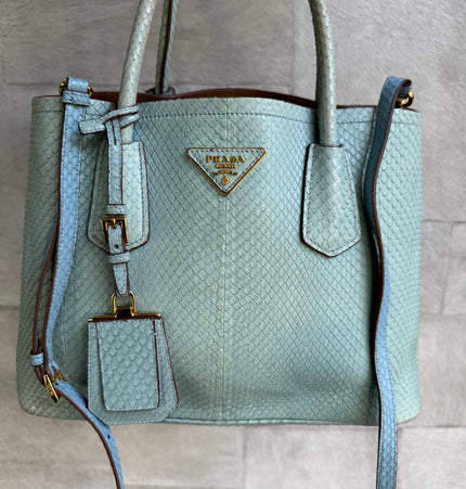 Prada limited edition double bag