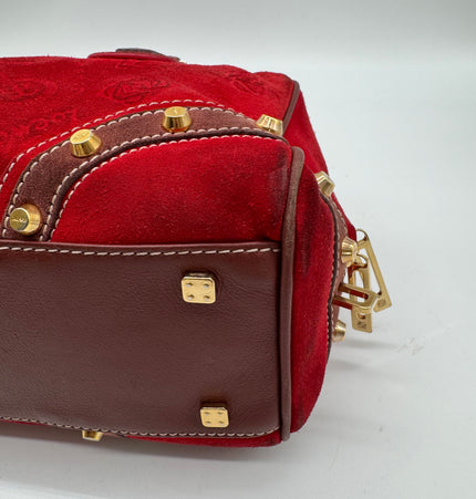 Loewe Amazona 160 anniversary handbag