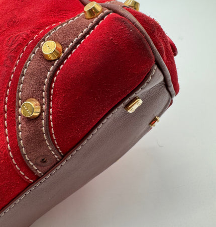 Loewe Amazona 160 anniversary handbag