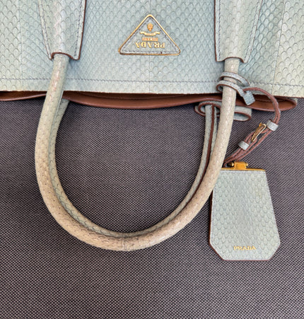 Prada limited edition double bag