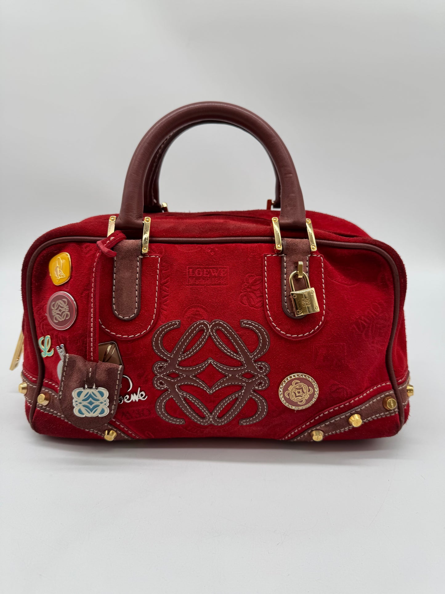 Loewe Amazona 160 anniversary handbag