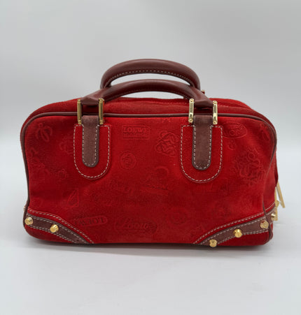 Loewe Amazona 160 anniversary handbag