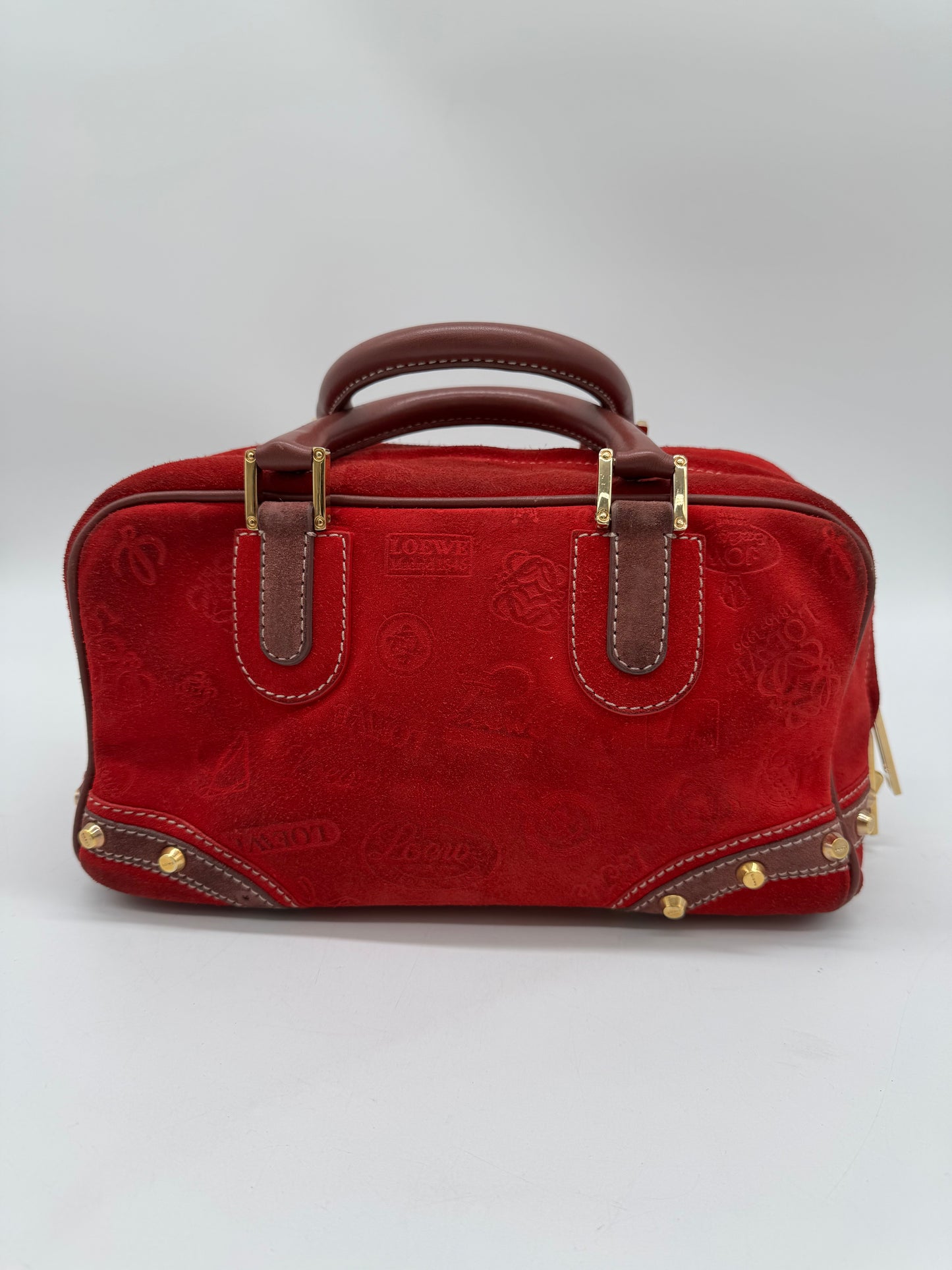 Loewe Amazona 160 anniversary handbag