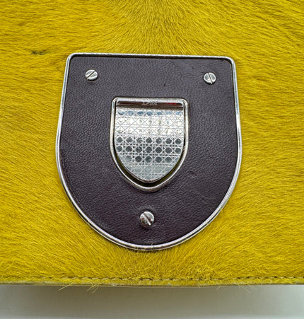 Dior diorama crossbody bag