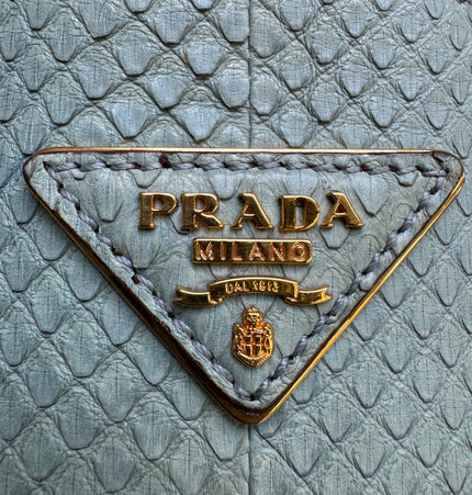 Prada limited edition double bag