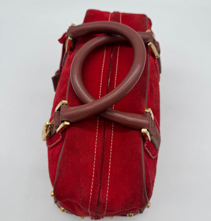 Loewe Amazona 160 anniversary handbag