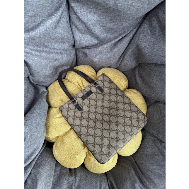 Gucci mini handbag