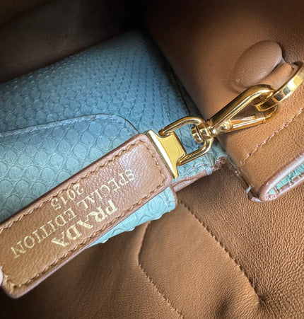 Prada limited edition double bag