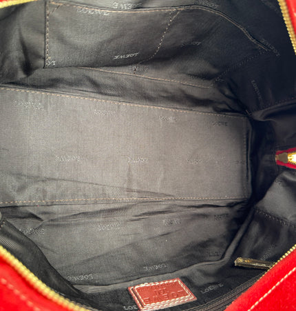 Loewe Amazona 160 anniversary handbag