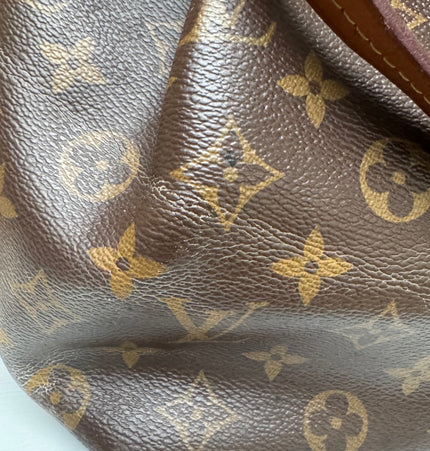 Louis monogram handbag