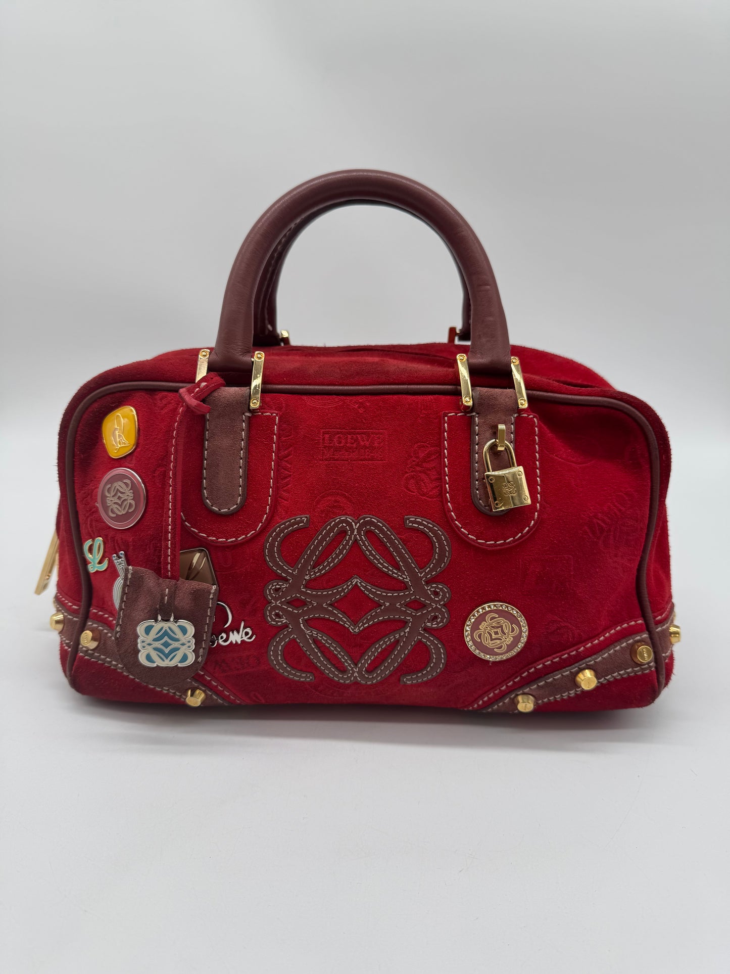 Loewe Amazona 160 anniversary handbag