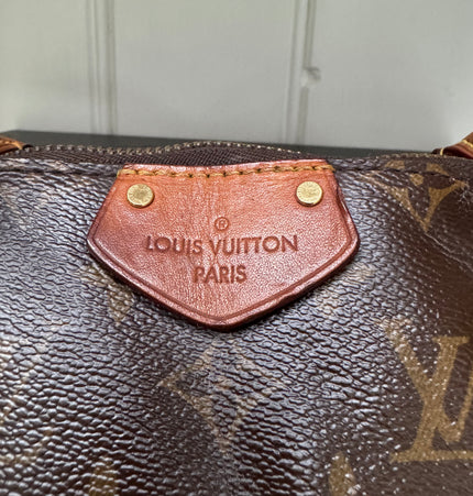 Louis monogram handbag