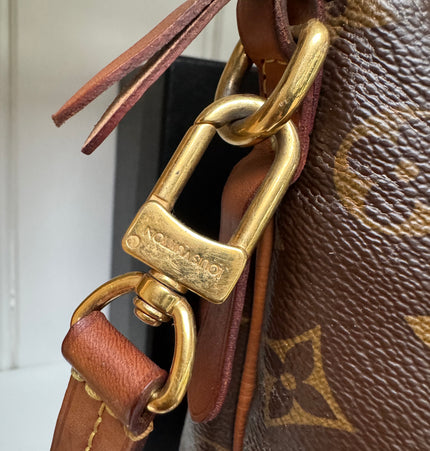 Louis monogram handbag