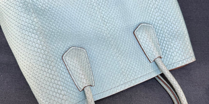 Prada limited edition double bag
