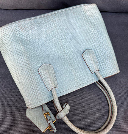 Prada limited edition double bag