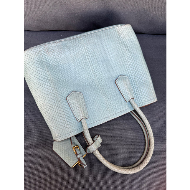 Prada limited edition double bag