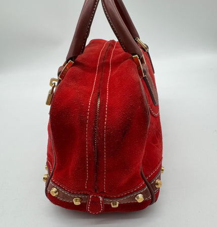 Loewe Amazona 160 anniversary handbag