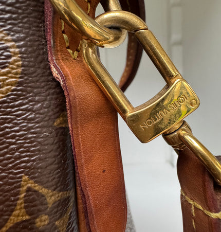 Louis monogram handbag