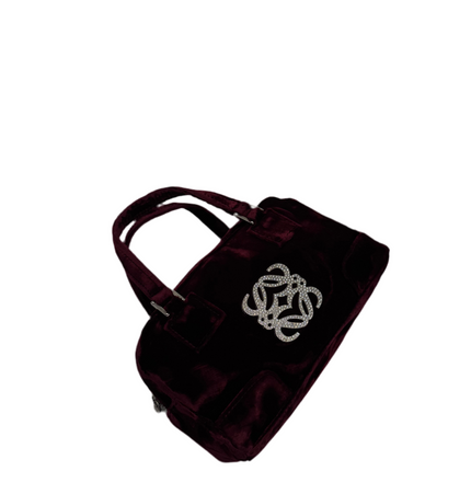 Loewe crystal handbag