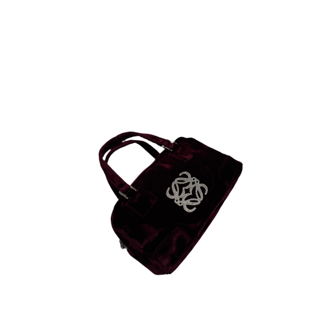 Loewe crystal handbag