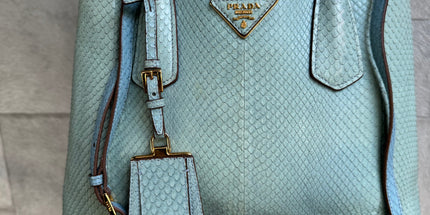 Prada limited edition double bag