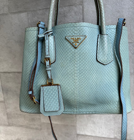 Prada limited edition double bag
