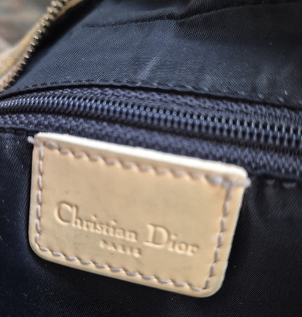 Dior trotter crossbody bag