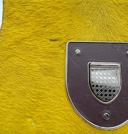 Dior diorama crossbody bag