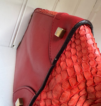 Céline phyton leather Luggage Tote 