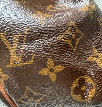Louis monogram handbag
