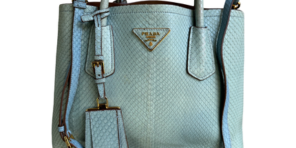 Prada limited edition double bag