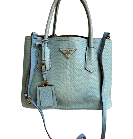 Prada limited edition double bag