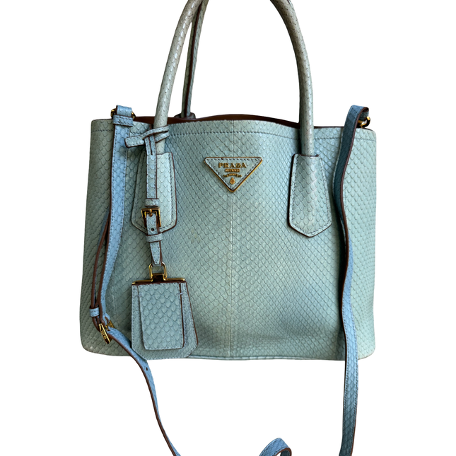 Prada limited edition double bag