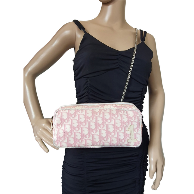 Dior trotter pouch with added chain strap