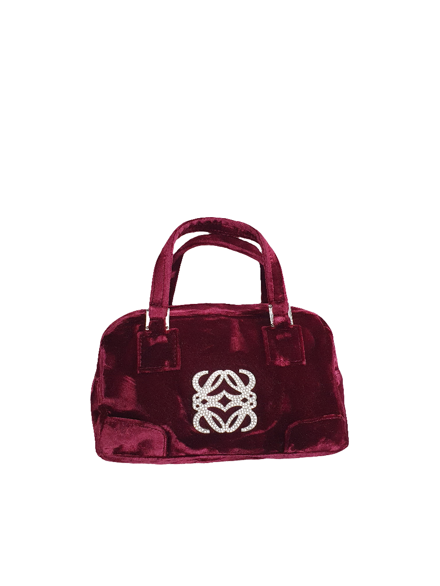 Loewe crystal handbag