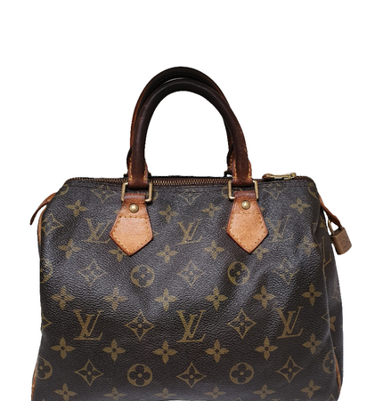 Louis vuitton speedy 25 hand bag