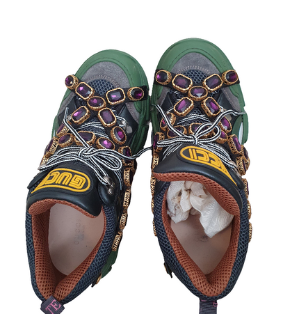 Gucci flashtrack sneakers